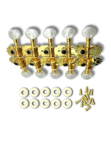 Set Clavijeros 5+5 dorado